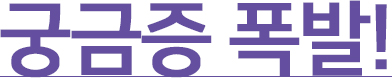 홈페이지 제작 비용 궁금증